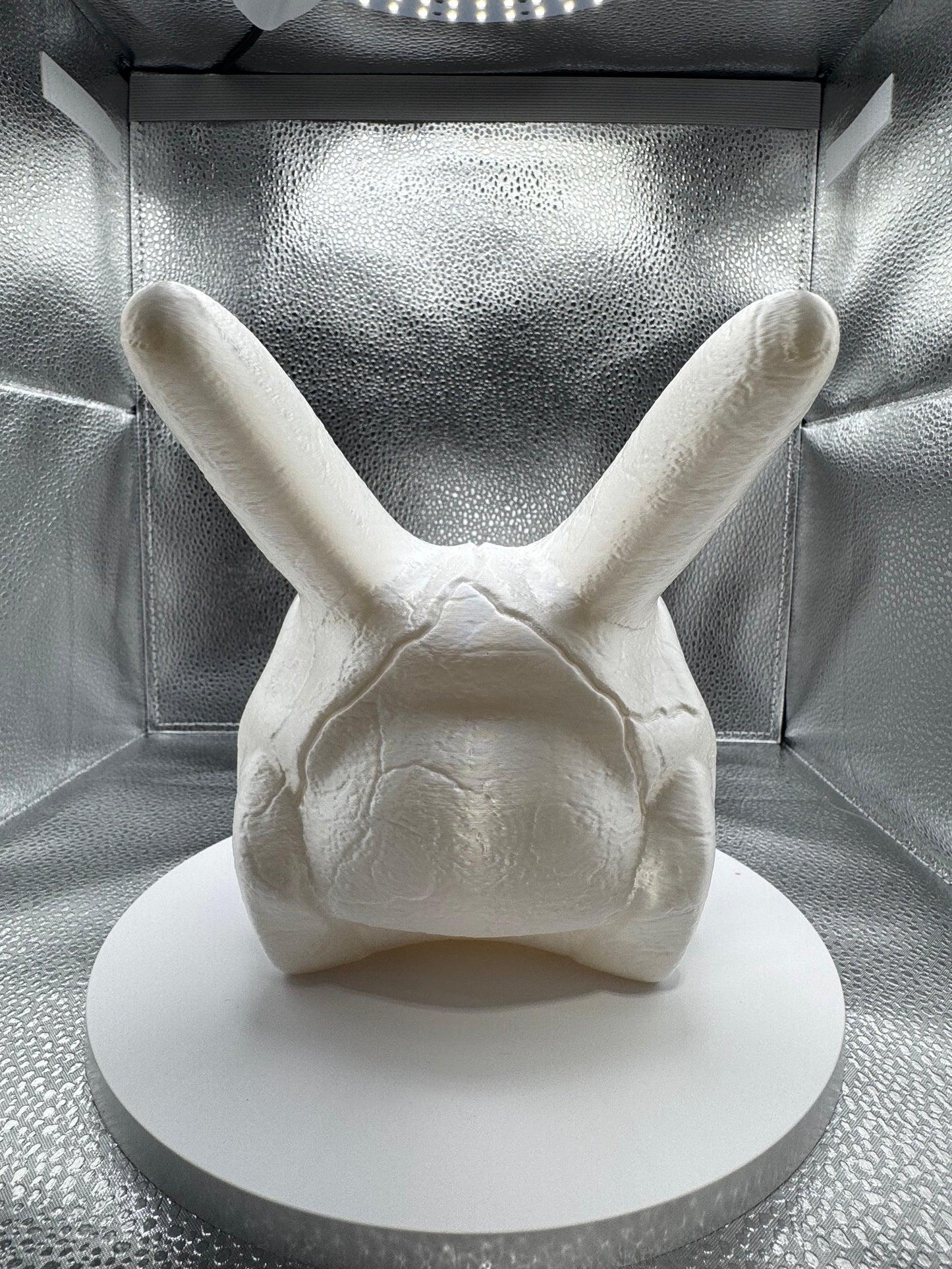 Zardmon Skull 3D Print